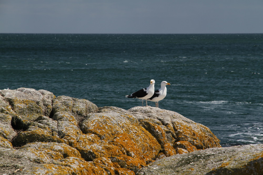 Dalkey%20Island