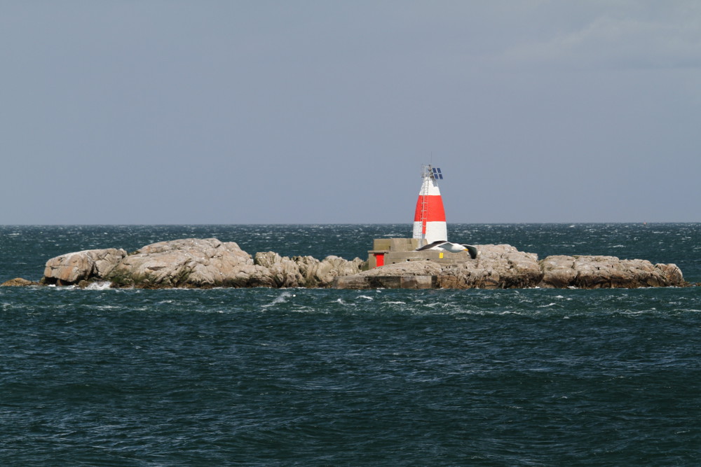 Dalkey Island | information | photos | boat trips contact