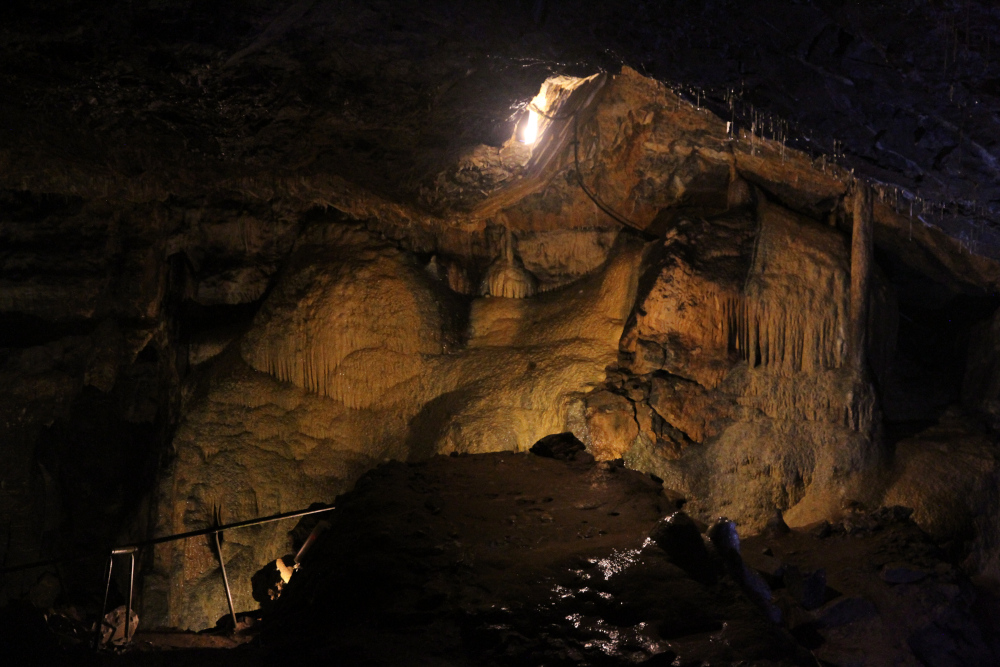 Mitchelstown Cave | Co. Tipperary | Coordinates | Photos | Opening Hours