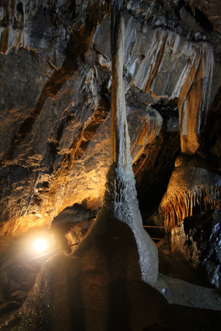 Mitchelstown Cave | Co. Tipperary | Coordinates | Photos | Opening Hours