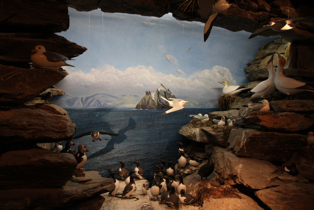 The Skellig Experience Visitor Centre | ticket prices and opening hours ...